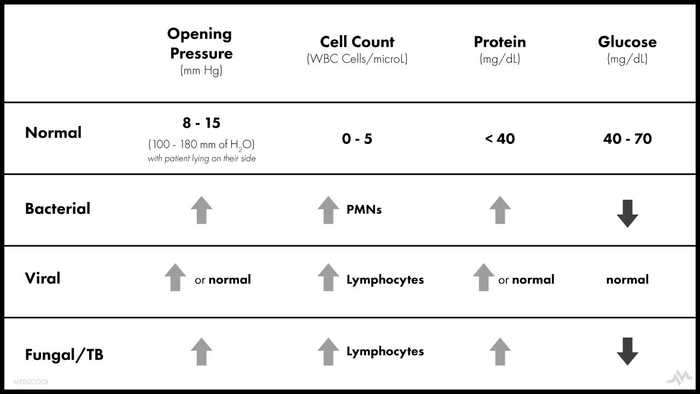 Cerebrospinal Fluid Analysis in Meningitis