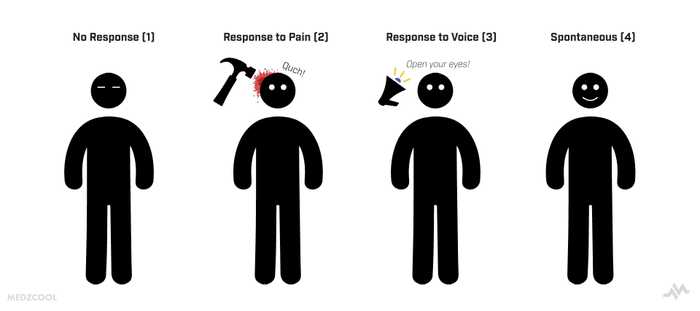 Eye Response - Glasgow Coma Scale