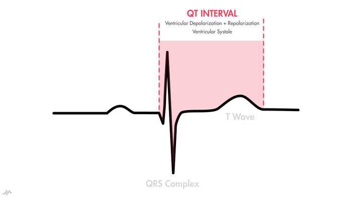 QT Interval