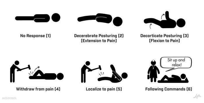 Motor Response - Glasgow Coma Scale